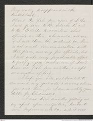 Nachlass Franz Steindachner, Brief von E. Davidson an Franz Steindachner (29.03.1876), Inv.Nr. 96.01, Seite 2